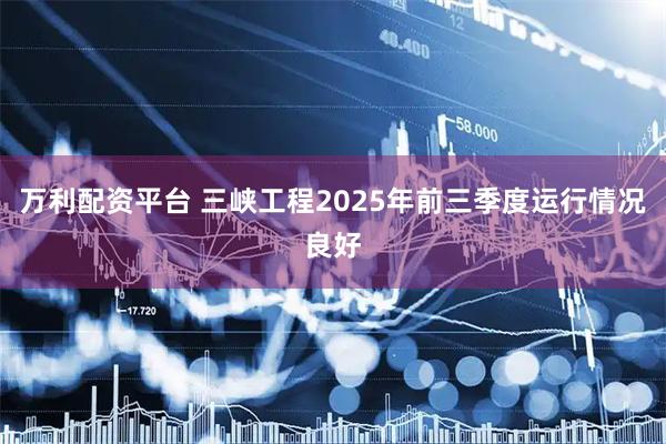 万利配资平台 三峡工程2025年前三季度运行情况良好