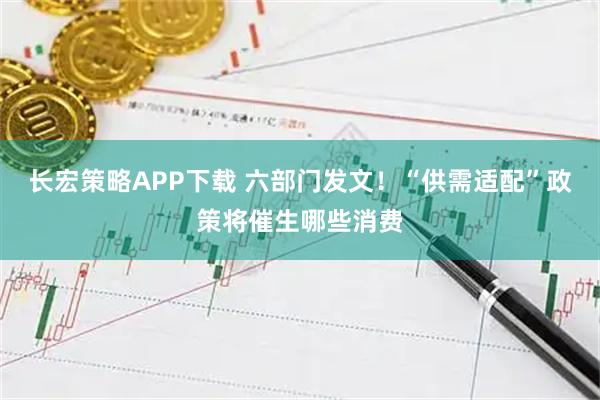 长宏策略APP下载 六部门发文！“供需适配”政策将催生哪些消费