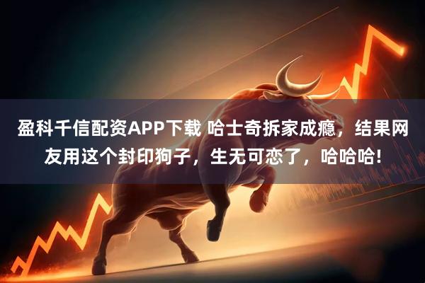 盈科千信配资APP下载 哈士奇拆家成瘾，结果网友用这个封印狗子，生无可恋了，哈哈哈!